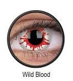 Hullu yhden päivän villi veri